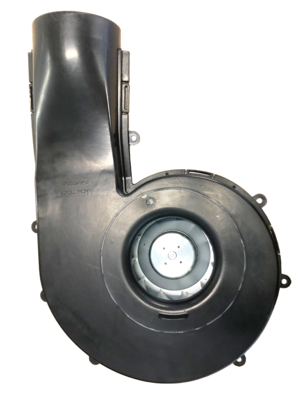 3.1 back fan 3.1 back fan